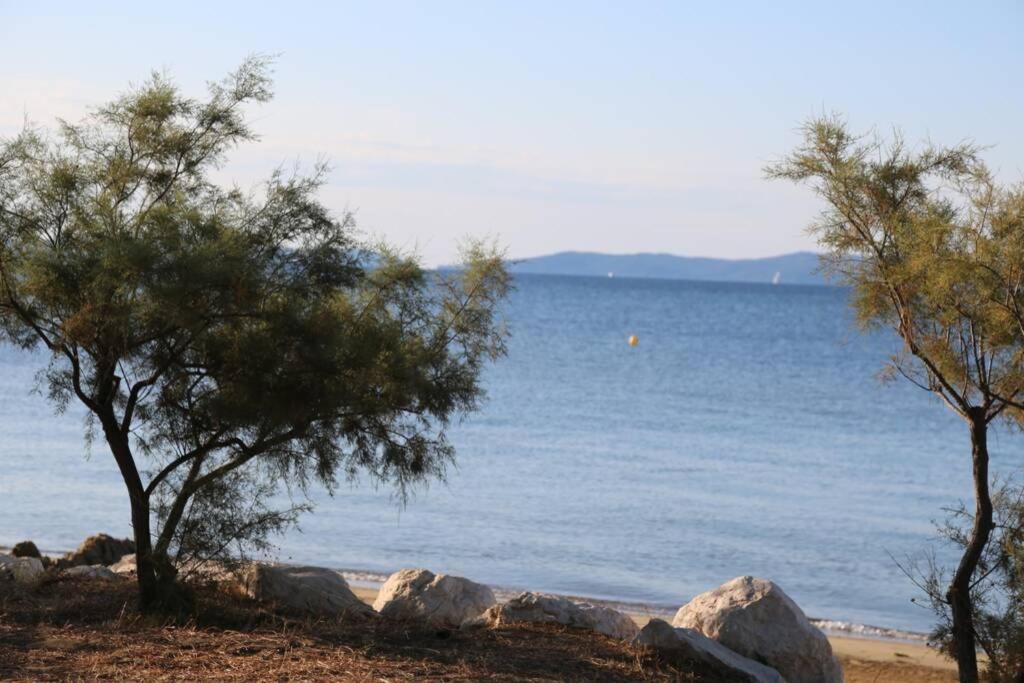 Suite 1 Chambre, 1 Sejour, Climatise, Piscines, 400M De La Mer La Londe-les-Maures Bagian luar foto